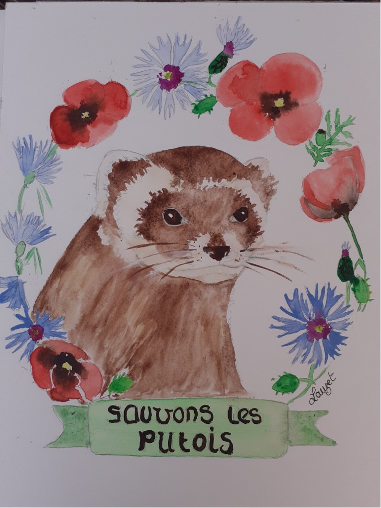 Par Sylvie Levesque