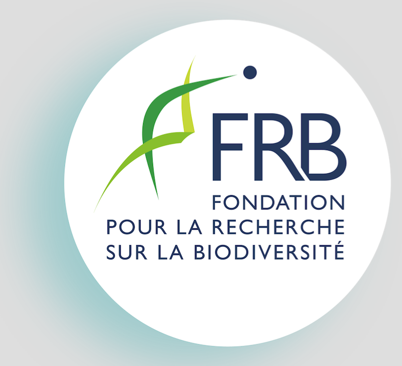 FRB