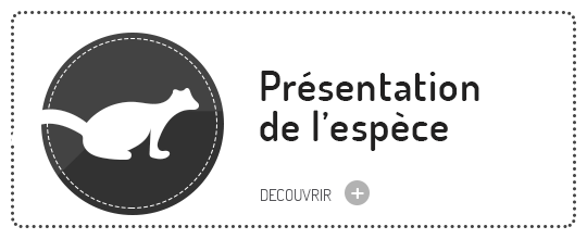 presentation espèce