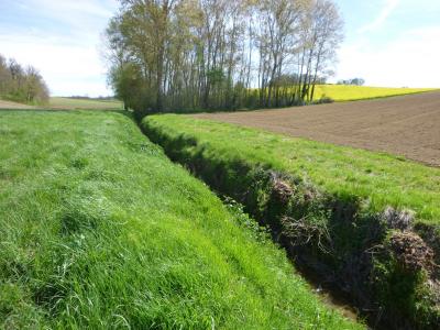 Destruction d'une ripisylve et rectification du cours d'eau - Nathalie de Lacoste